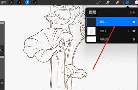 在Procreate里怎样设置黑白色调