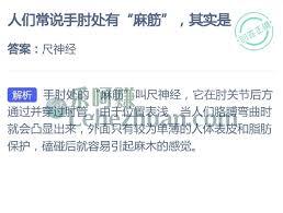 手肘部位存在麻筋，这是什么原因呢