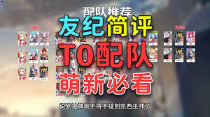 卡厄思梦境中友纪的配队方法是什么