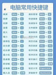 F4快捷键怎样助力提升Word使用效率