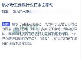 帆水母是依靠什么来在水面上移动的呢