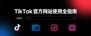 抖音网页版的快速访问入口位于哪里