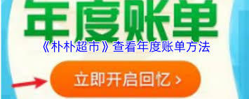 在朴朴超市里怎么查询年度账单