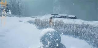 燕云十六声奇术如何化身成墩并获取