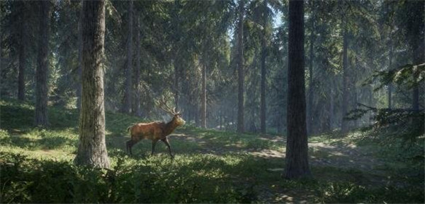 猎人：野性的呼唤伏击狩猎玩法全面解析