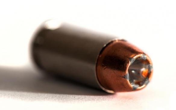 猎人：野性的呼唤》三种子弹特性深度解析