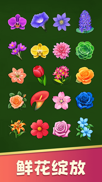 花朵爱消除中文版(4)