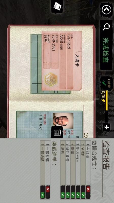 边境守卫模拟国际版(3)