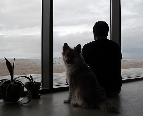 独立游戏开发者的春天即将来临，坚持下去就能迎来胜利