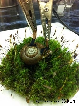 要是用蜗牛的速度来发电，结果会是怎样的呢？