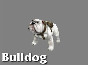 海量《火炬之光2》萌宠图片大曝光