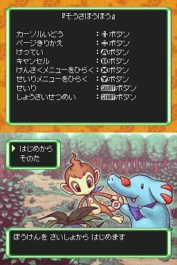 口袋妖怪组队策略指南：白色恶魔搭配方案1