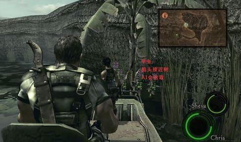 《生化危机5》游戏攻略：高效刷钱技巧分享