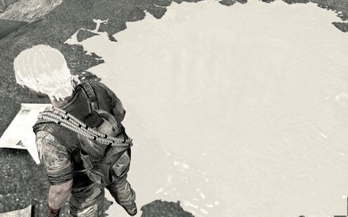 玩《我还活着》游戏时出现花屏问题该如何解决？