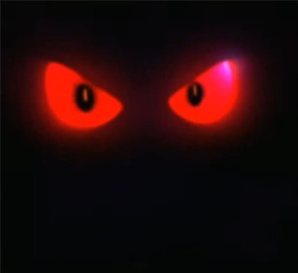 《口袋铁拳锦标赛》迎来耿鬼加盟可爱又带点邪气的小家伙登场