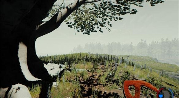 森林家园选址建议森林建家方位推荐