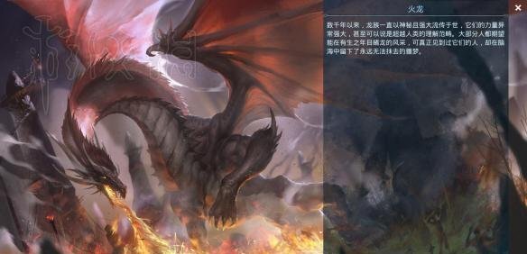 黑暗与光明生物代码汇总表