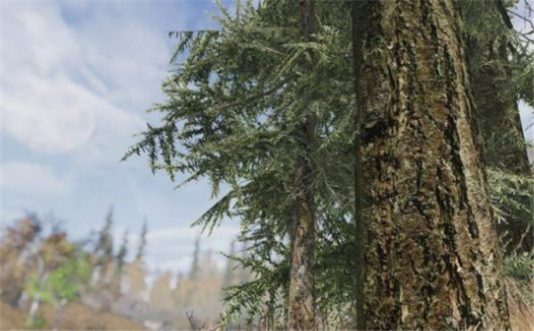 适配《上古卷轴5特别版》的树木材质Mod，以4K分辨率呈现