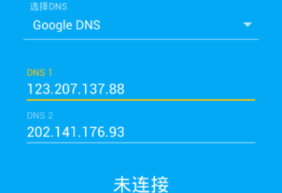 Pure DNS（智能解析）