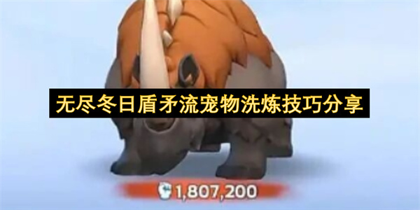 无尽冬日盾矛流宠物洗练方法大公开