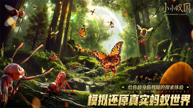 蚂蚁地下王国图2