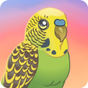 鸟类世界最新版