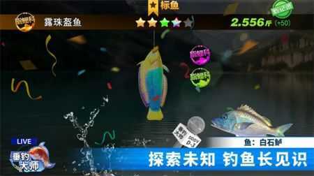 垂钓大师最新版图2