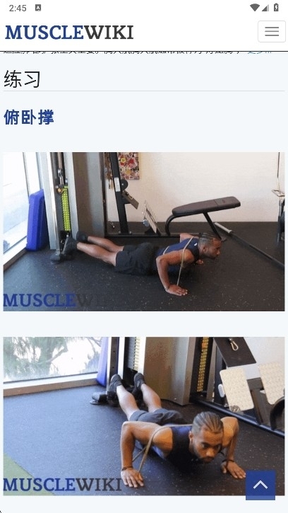 musclewiki手机版图2