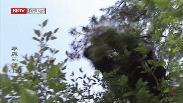 全球电视直播免费版图2