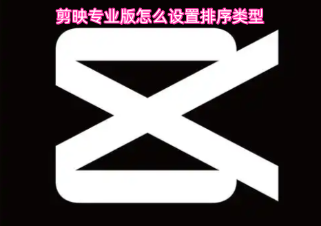 剪映专业版的排序类型要如何设置呢