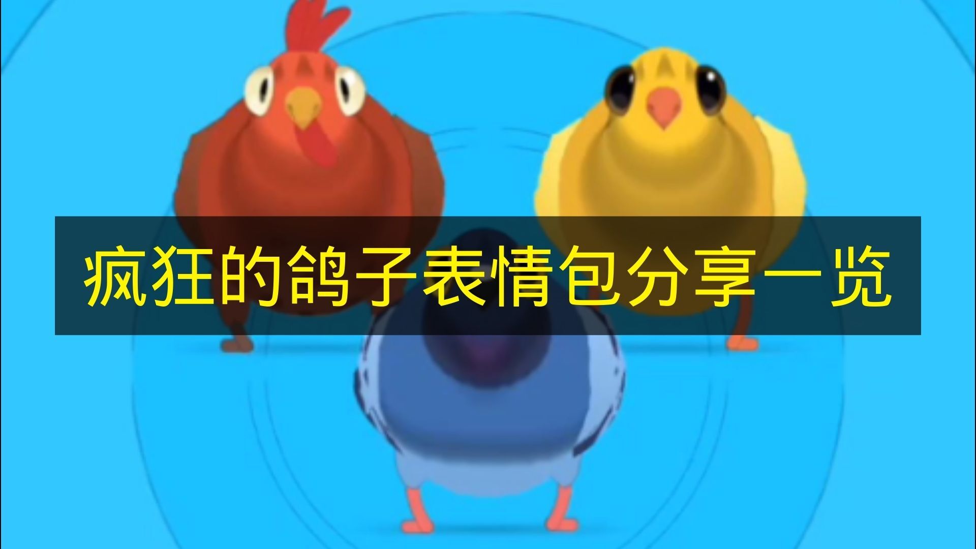 《疯狂的鸽子》表情包分享汇总