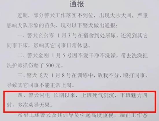 警犬因殴打同事、在战友床上小便被通报批评，警方作出回应