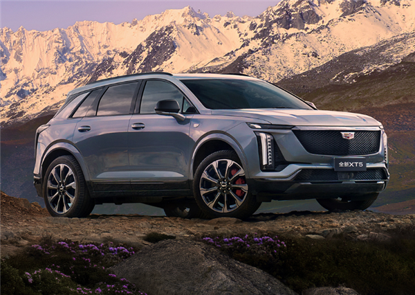 凯迪拉克女车主控诉4S店强制捆绑消费：刹车油售价为线上三倍，且仅售套餐不单独更换