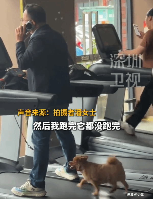 小狗在跑步机上狂奔50分钟，主人仅在旁陪伴，网友调侃：办的卡没白费