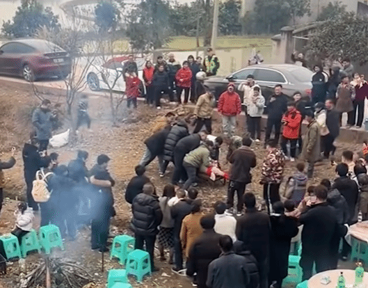 杀年猪活动意外频发！男子协助按猪遭踢致截瘫，邀约者需赔偿52万元