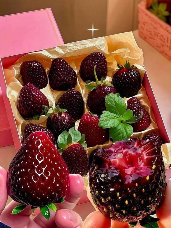 到底是谁在消费？黑草莓刚上市，每斤价格就飙升到160元