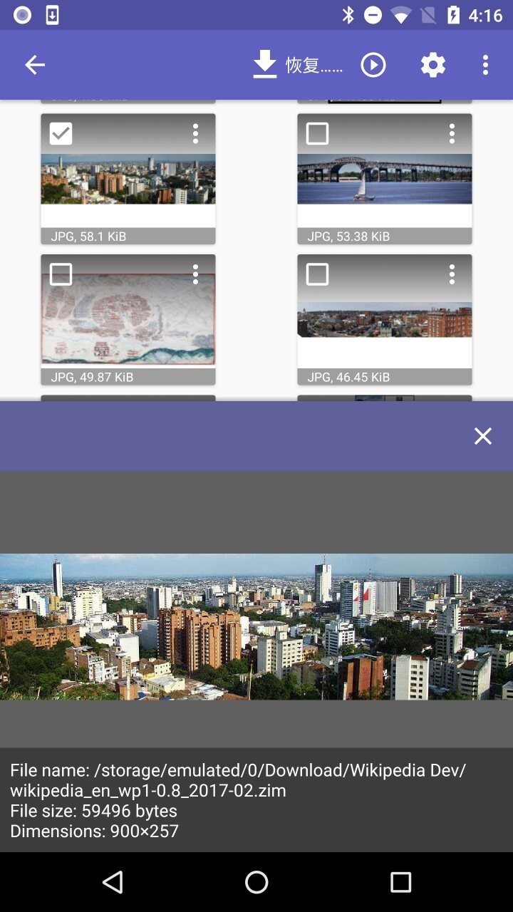 diskdigger pro汉化版