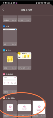 鲸鱼小组件软件