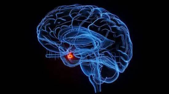 这种面相或许是肿瘤的早期信号别误以为只是身体“长胖”了