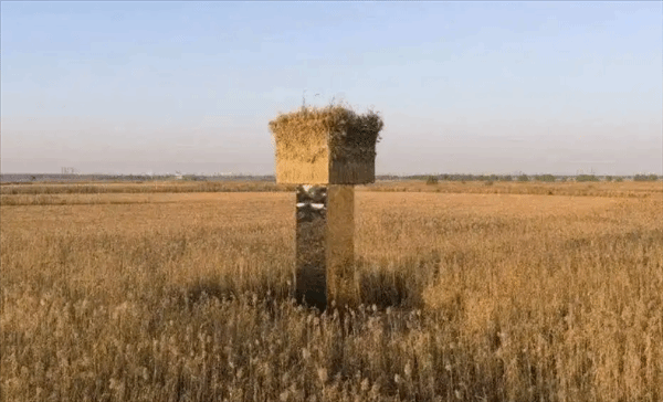 被称作“候鸟屠场”的镜面艺术品即将拆除，该装置因易导致鸟类撞击而引发争议