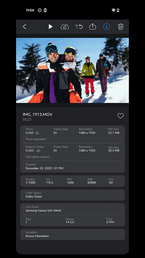 Blackmagic Camera调色包