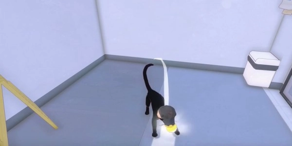 《小貓咪大城市》飯團帽獲得方法