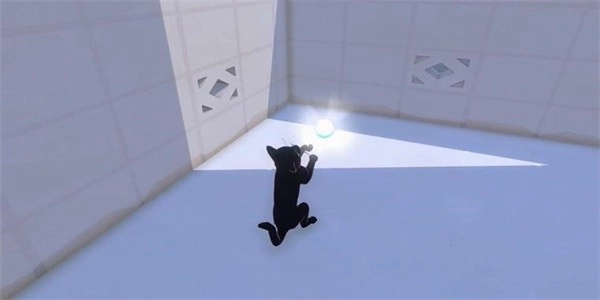 《小貓咪大城市》鯖魚帽獲得方法