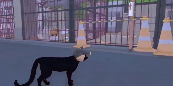 《小貓咪大城市》從管道中救出成就達成方法