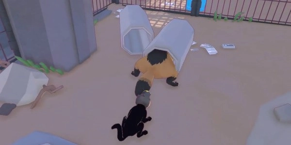 《小貓咪大城市》從管道中救出成就達成方法