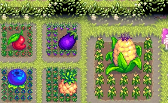 《星露谷物語》巨大作物種植方法