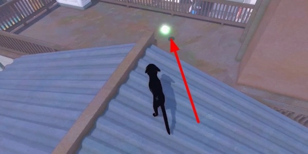 《小貓咪大城市》包子帽獲得方法