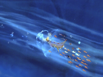 《創造與魔法》暑假版本“龍墟初謁”地圖&副本分享