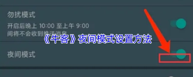 如何在《牛客》中設(shè)置夜間模式