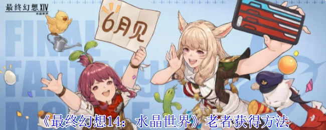 如何獲取《最終幻想14：水晶世界》中的老者